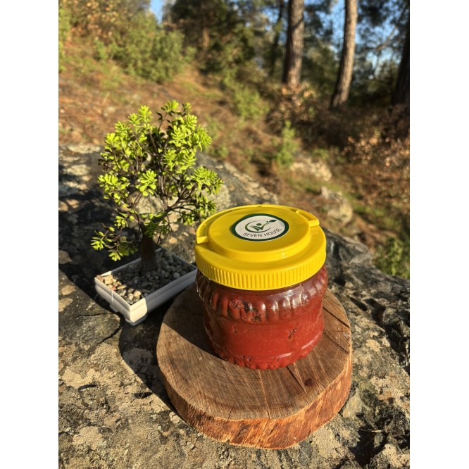 Domates Salçası (1KG)